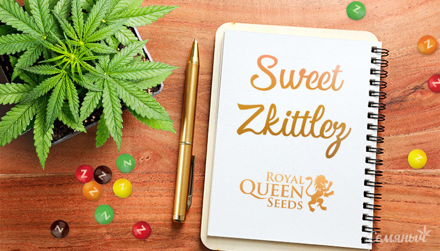 Гроурепорт сорта Sweet ZZ