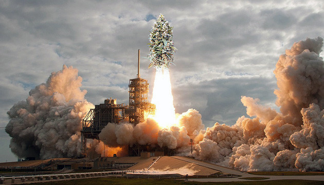 Мощные и урожайные семена марихуаны Урожайность конопли