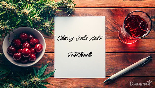 Гроурепорт сорта Cherry Cola Auto fem от FastBuds